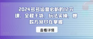 2024多多运营必听的12节课，全程干货，玩法实操，爆款方案尽在掌握-林文副业站