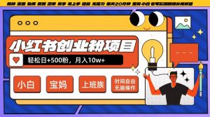 小红书创业粉项目日+500粉，每天20分钟躺赚长尾收益，无脑操作，宝妈，小白抓紧冲【揭秘】-林文副业站