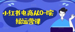 小红书电商从0-1实操运营课，小红书手机实操小红书/IP和私域课/小红书电商电脑实操板块等-林文副业站
