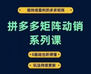 拼多多矩阵动销系列课，能持续盈利的多多矩阵，0基础也听得懂，玩法持续更新-林文副业站