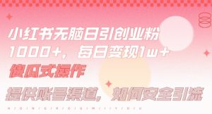 小红书无脑每日引流创业粉500+，小白每天只花半小时，躺赚长尾收益【揭秘】-林文副业站