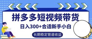 拼多多短视频带货日入300+有长期稳定被动收益，合适新手小白【揭秘】-林文副业站