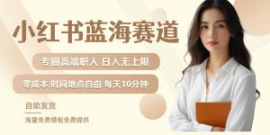 小红书蓝海赛道,圈中高端职场人,月入无上限,可矩阵,内含私域实操教程!-林文副业站