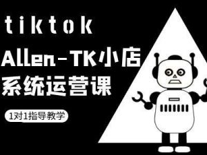 TK小店系统运营课-tiktok跨境电商教程-林文副业站