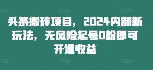 头条搬砖项目,2024内部新玩法,无风险起号0粉即可开通收益-林文副业站