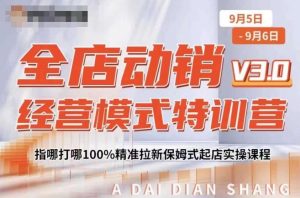 全店动销经营模式特训营,指哪打哪100%精准拉新保姆式起店实操课程-林文副业站