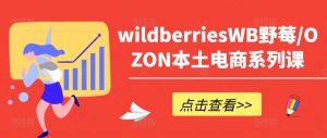 wildberriesWB野莓/OZON本土电商系列课,掌握WB产品优化,出单技巧和订单处理等-林文副业站