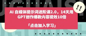 AI自媒体提示词进阶课2.0，14天用 GPT创作爆款内容提效10倍-林文副业站