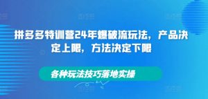 拼多多特训营24年爆破流玩法，产品决定上限，方法决定下限，各种玩法技巧落地实操-林文副业站