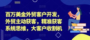 百万美金外贸客户开发,外贸主动获客,精准获客系统思维,大客户收割机-林文副业站