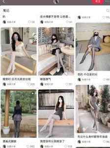 AI打造网红账号，一周收入超5位数，还能矩阵操做-林文副业站