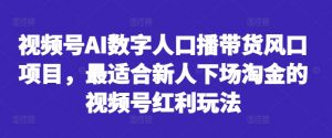 视频号AI数字人口播带货风口项目,最适合新人下场淘金的视频号红利玩法-林文副业站