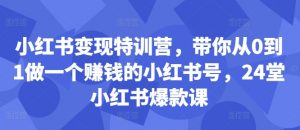 小红书变现特训营,带你从0到1做一个赚钱的小红书号,24堂小红书爆款课-林文副业站