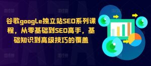 谷歌google独立站SEO系列课程,从零基础到SEO高手,基础知识到高级技巧的覆盖-林文副业站