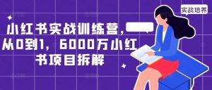 小红书实战训练营,从0到1,6000万小红书项目拆解-林文副业站