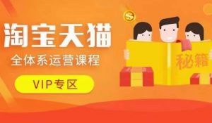 淘宝天猫全体系运营课程【9月24更新】,店铺全系运营、动销玩法、擦边球玩法等等-林文副业站