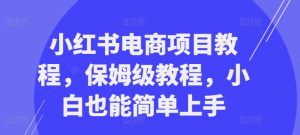 小红书电商项目教程,保姆级教程,小白也能简单上手-林文副业站