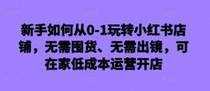 新手如何从0-1玩转小红书店铺，无需囤货、无需出镜，可在家低成本运营开店-林文副业站