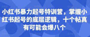 小红书暴力起号特训营，掌握小红书起号的底层逻辑，十个帖真有可能会爆八个-林文副业站