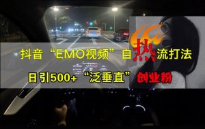 抖音EMO视频自热打法,日引500+“泛垂直”创业粉-林文副业站
