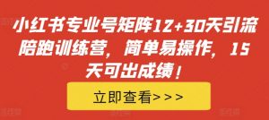 小红书专业号矩阵12+30天引流陪跑训练营，简单易操作，15天可出成绩!-林文副业站