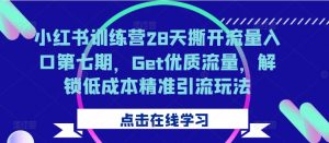 小红书训练营28天撕开流量入口第七期，Get优质流量，解锁低成本精准引流玩法-林文副业站