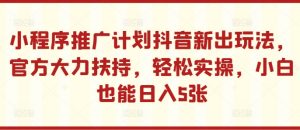 小程序推广计划抖音新出玩法,官方大力扶持,轻松实操,小白也能日入5张【揭秘】-林文副业站