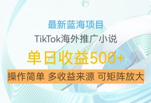 最新蓝海项目,利用tiktok海外推广小说赚钱佣金,简单易学,日入500+,可矩阵放大【揭秘】-林文副业站