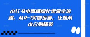 小红书电商精细化运营全流程，从0-1实操运营，让你从小白到精英-林文副业站