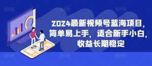 2024最新视频号蓝海项目,简单易上手,适合新手小白,收益长期稳定-林文副业站