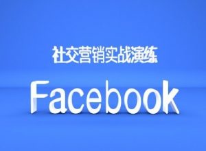 Facebook社交营销实战演练,外贸人绝对不能错过的营销推广平台-林文副业站