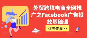 外贸跨境电商全网推广之Facebook广告投放基础课-林文副业站