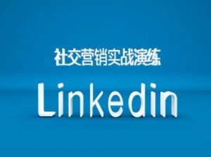 社交营销实战演练之Linkedin营销课程，B2B跨境外贸的新出路-林文副业站