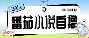 最新番茄小说自撸玩法,无需手机,无需双清,成本极低日入200+【揭秘】-林文副业站