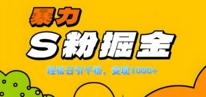 单人单机日引千粉,变现1k+,S粉流量掘金计划攻略【揭秘】-林文副业站