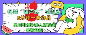 抖音葫芦式引流法,三分钟一条作品,单日引爆抖音500人精准创业粉丝群【揭秘】-林文副业站