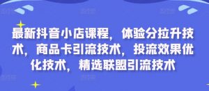 最新抖音小店课程,体验分拉升技术,商品卡引流技术,投流效果优化技术,精选联盟引流技术-林文副业站