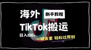 2024最新海外TikTok搬运玩法,一键去重轻松过原创,新手无经验也能日入1k【揭秘】-林文副业站