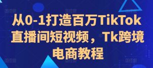 从0-1打造百万TikTok直播间短视频,Tk跨境电商教程-林文副业站