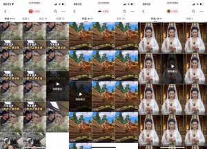 狗熊岭快手连怼技术，好物，涨粉都可以连怼-林文副业站