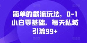 简单的截流玩法，0-1小白零基础，每天私域引流99+【揭秘】-林文副业站