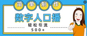 简单制作数字人口播轻松引流500+精准创业粉【揭秘】-林文副业站