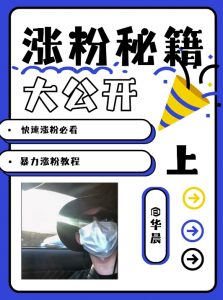 最新AI美女玩法，颜值暴力涨粉教程，涨粉秘籍大公开-林文副业站