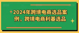 2024年跨境电商选品案例，跨境电商利基选品（更新11月）-林文副业站