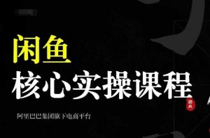 2024闲鱼核心实操课程，从养号、选品、发布、销售，教你做一个出单的闲鱼号-林文副业站