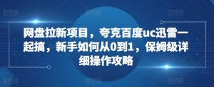 网盘拉新项目，夸克百度uc迅雷一起搞，新手如何从0到1，保姆级详细操作攻略-林文副业站