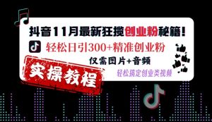 抖音11月最新狂揽创业粉秘籍,轻松日引300+精准创业粉,仅需图片+音频,轻松搞定创业类视频-林文副业站