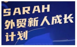 外贸新人成长计划，外贸新人学起来，偷偷让自己变强大-林文副业站