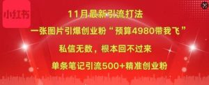 小红书11月最新图片打粉,一张图片引爆创业粉,“预算4980带我飞”,单条引流500+精准创业粉-林文副业站