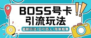 Boss直聘流量卡引流变现玩法，日引200+创业粉【揭秘】-林文副业站